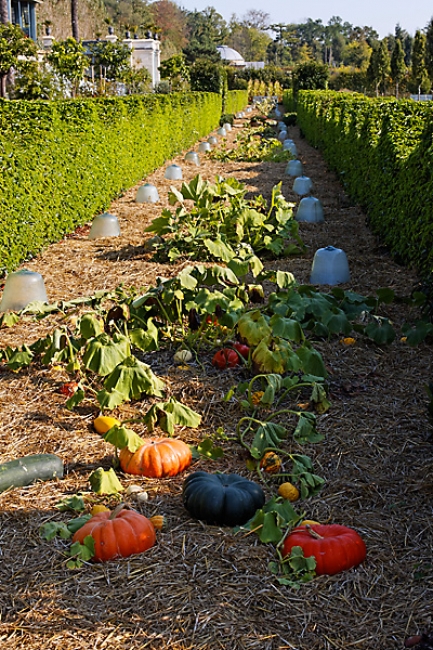 Chateau du Champ de Bataille-066